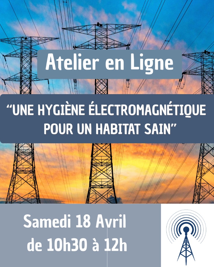 illustration Une hygiène électromagnétique pour un habitat sain.