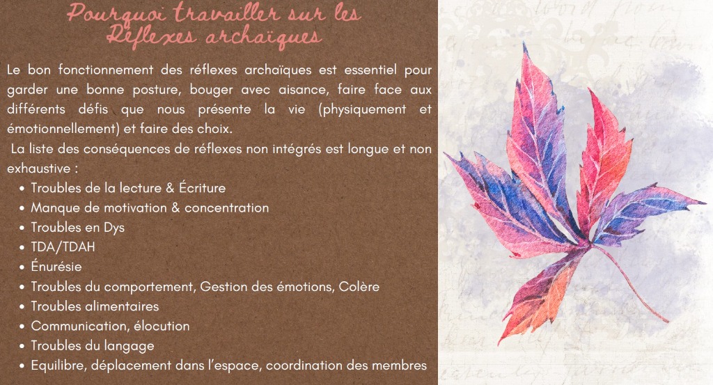 illustration Consultation Bilan Réflexes archaïques