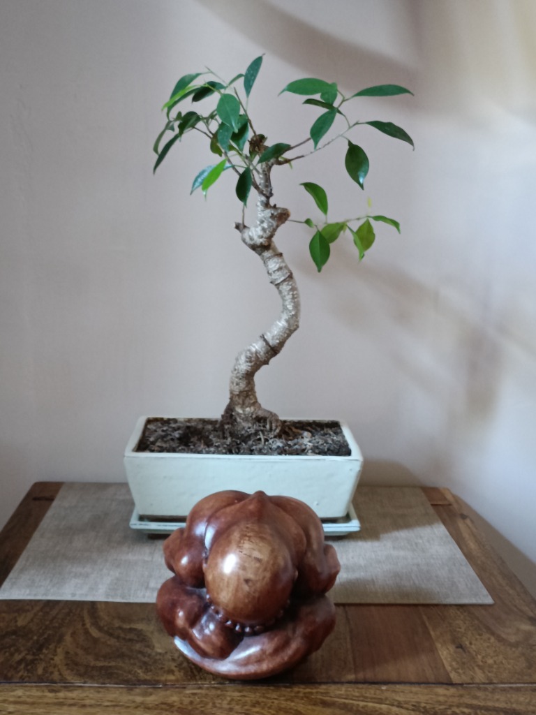 illustration Nouveaux Tarifs & Avantages 2026