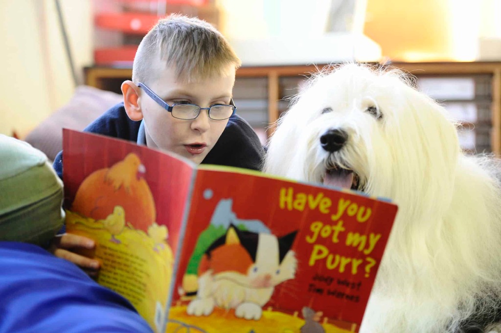 illustration Lire avec les animaux et sophrologie ludique