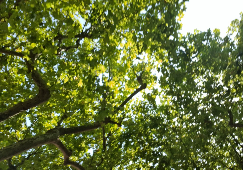 illustration Je stresse , j'angoisse, je craque, j'ai besoin d'aide..