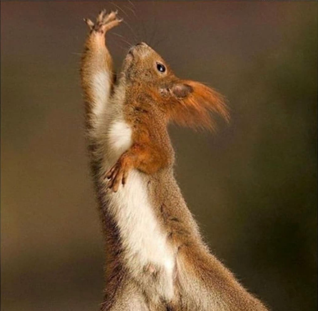 illustration Yoga doux, étirement, méditation