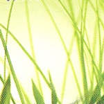 Nathalie Trabach-Caron