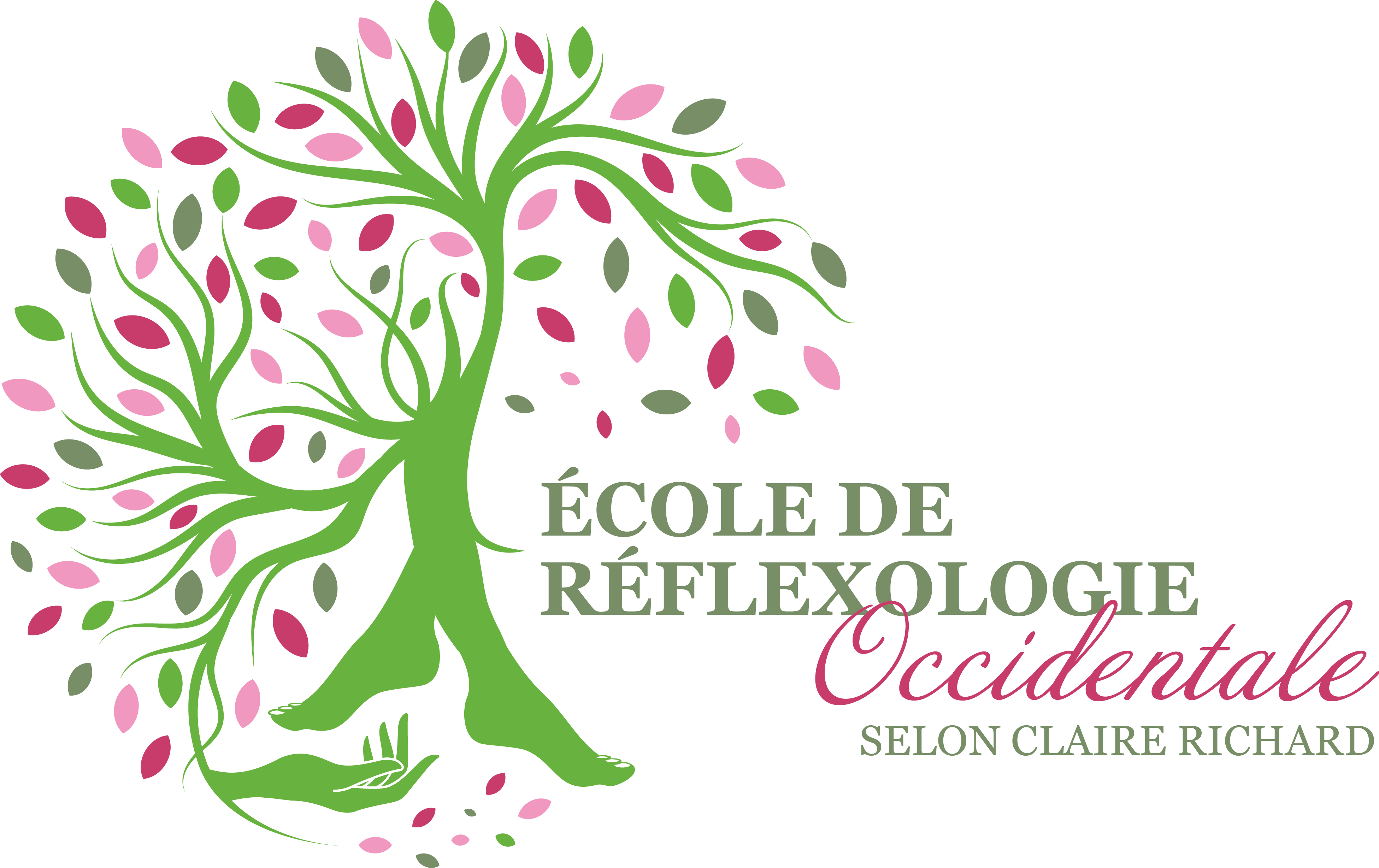 Ecole de Réflexologie Occidentale