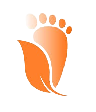 Ecole de la Metaréflexologie